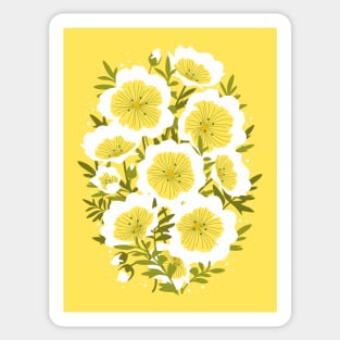 Bright summer flowers (Limnanthes flowers) Sticker